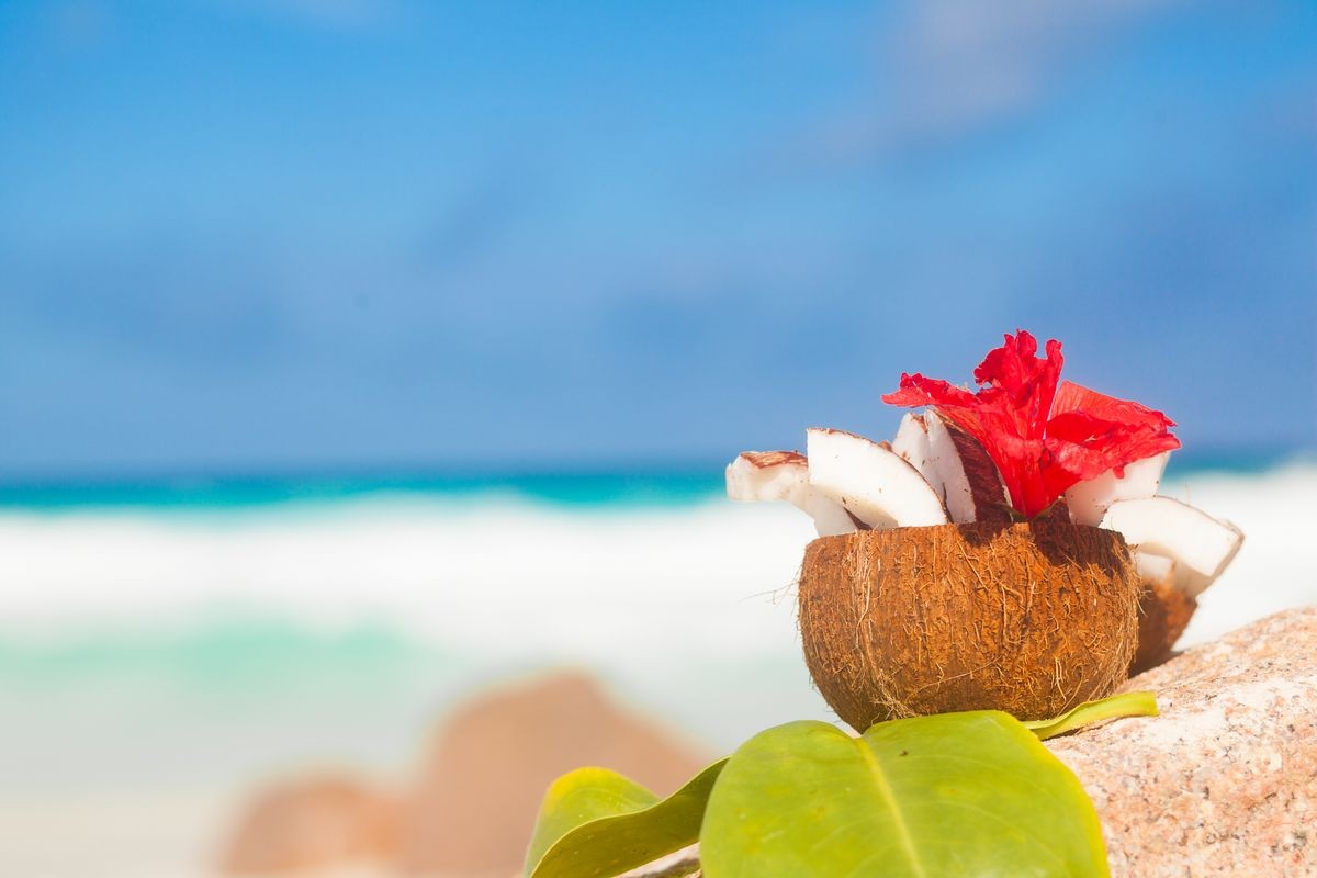 picture of fresh coconut juice on tropical beach. La Digue island, Seychelles