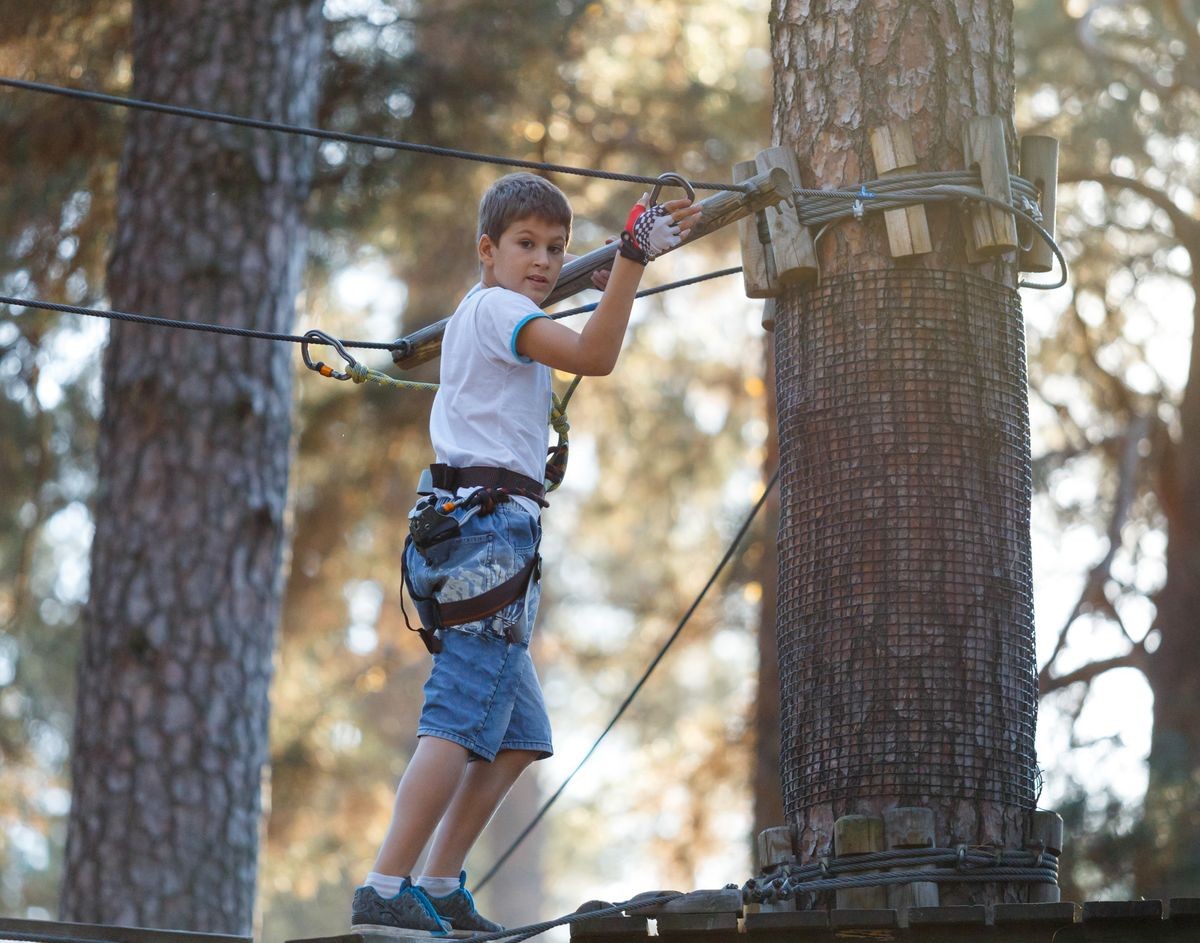 cute young boy  climbs on a very risky treetops in rope adventure park in the summer.  active lifestyle