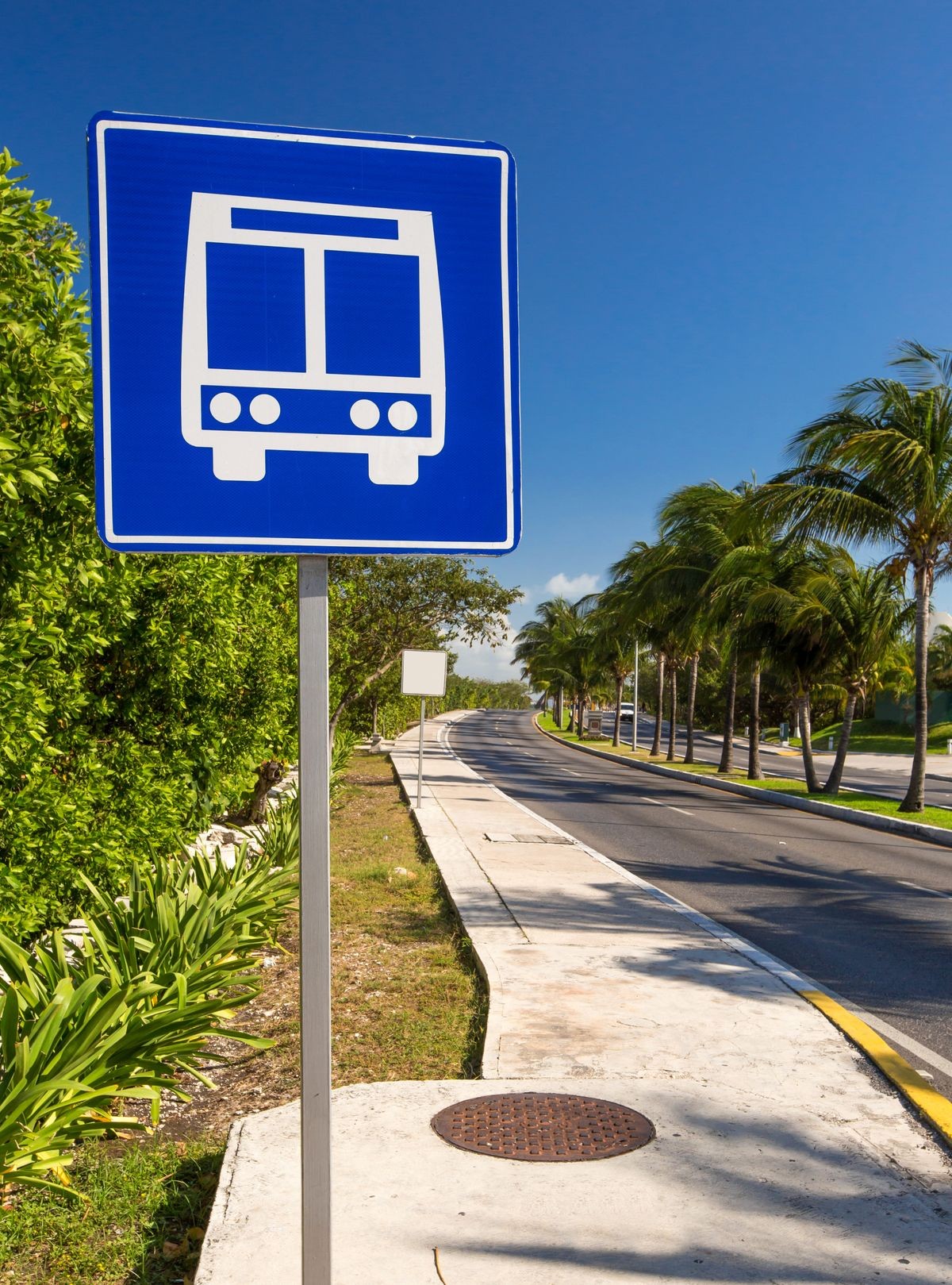 American road public bus stop sign on caribbean street road