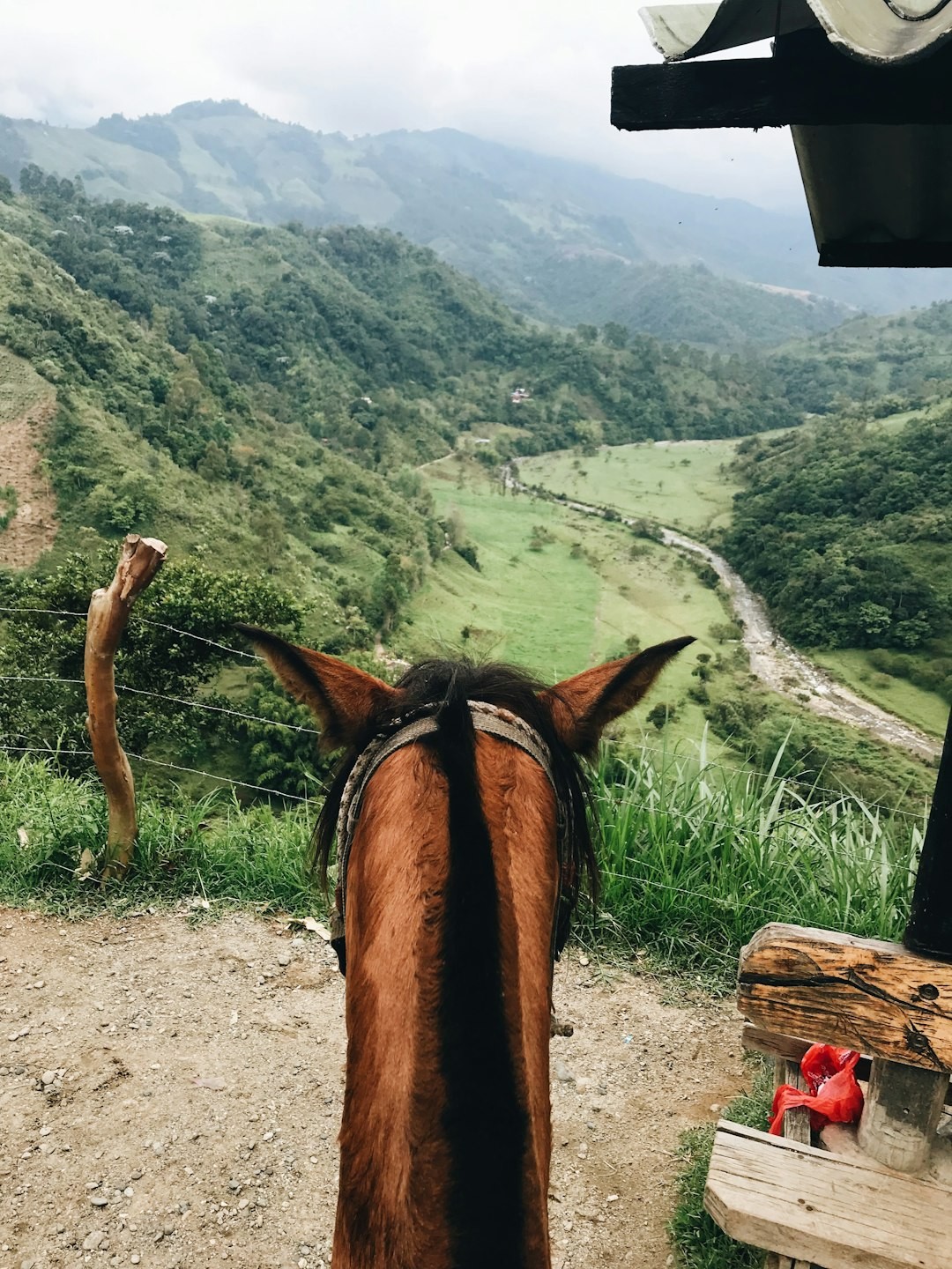 Horse Trek Monteverde